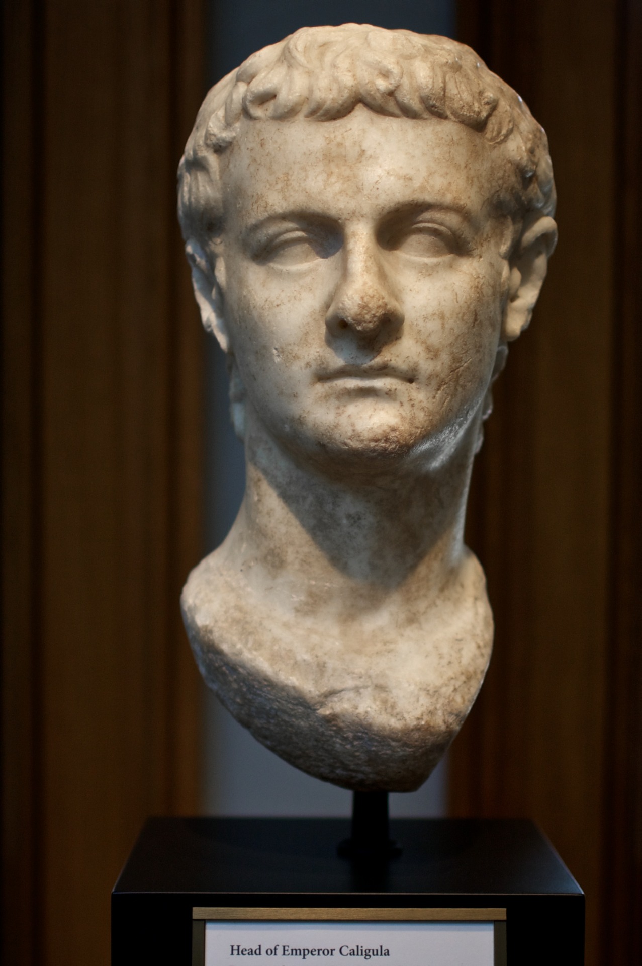 ANCIENT ART — The head of Roman Emperor Caligula. “Sometimes he...