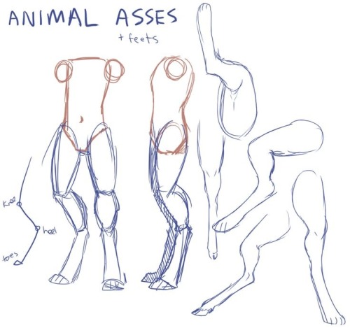 Featured image of post Furry Base Drawing Full Body Drawfurry com is your source for furry art tutorials photoshop tips and resources for anthropomorphic animal fans