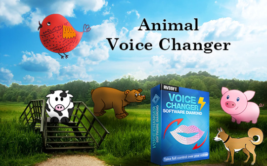 animal voice recording