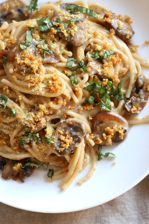 fattributes:Instant Pot Mushroom Tetrazzini