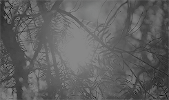 fin de l'intrigue 1 Tumblr_oydynxO9re1rob81ao7_r2_250