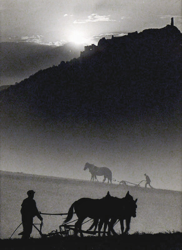 Blanc et Noir ... Noir et Blanc ... - Page 17 Tumblr_pn5fjdIiAf1sgafoqo1_640