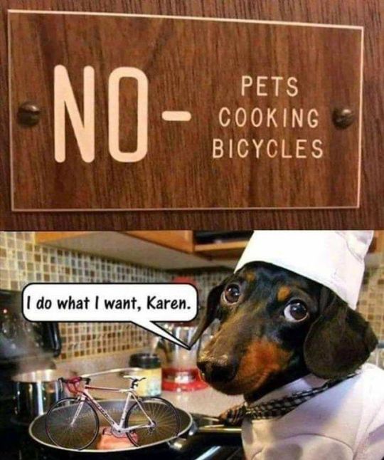 Via Cats, Beavers & Ducks