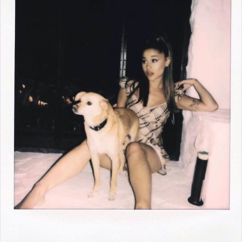ariana-news