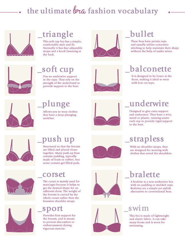 The ultimate bra vocabulary Source: Enerie Fashion...