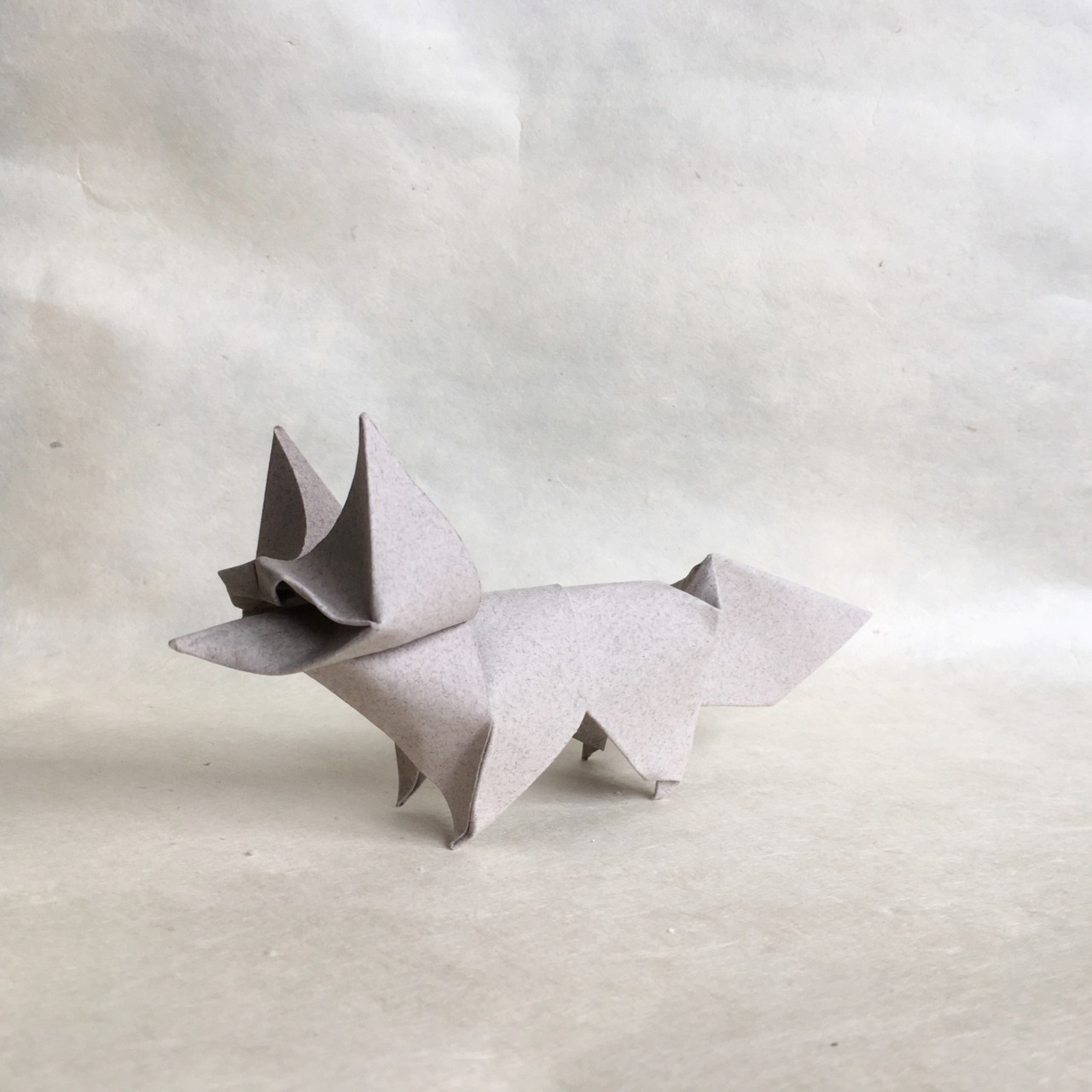 Foldaway Origami U2014 Fennec Fox Wet Folded From A 10 5 X 29