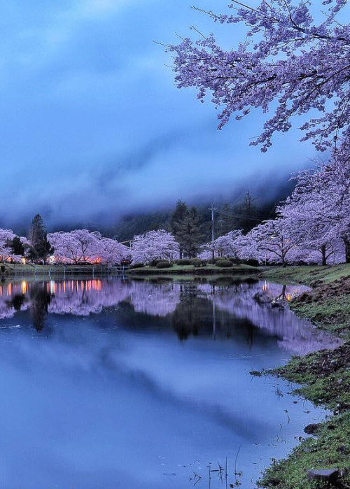 coiour-my-world:Nara, Japan | by criss1016Spring in...