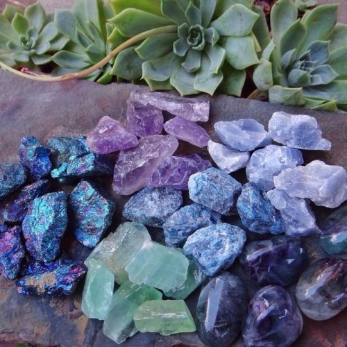 underthebogart:Green + Purple + Succulent + Crystal + Witchy...