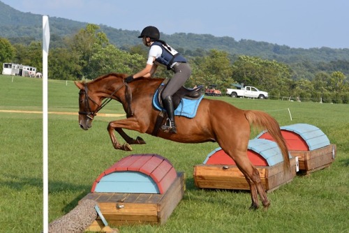 theruby-redmare:Twilight Eventing, 8/22/18