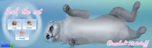 anakel13ts4stuff
