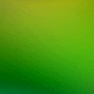colormush