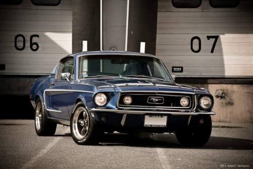 Ford mustang machine