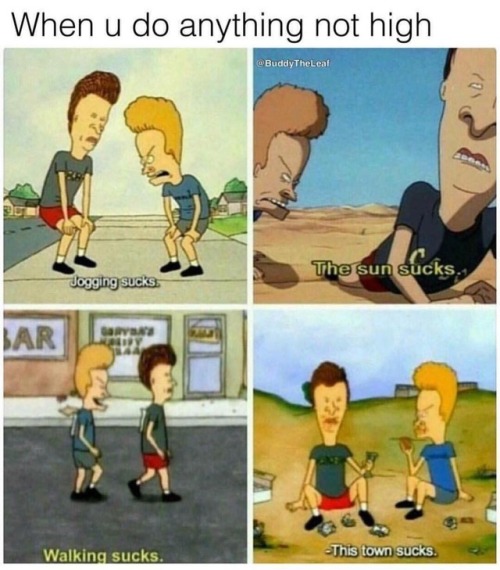 download stream beavis and butthead do the universe