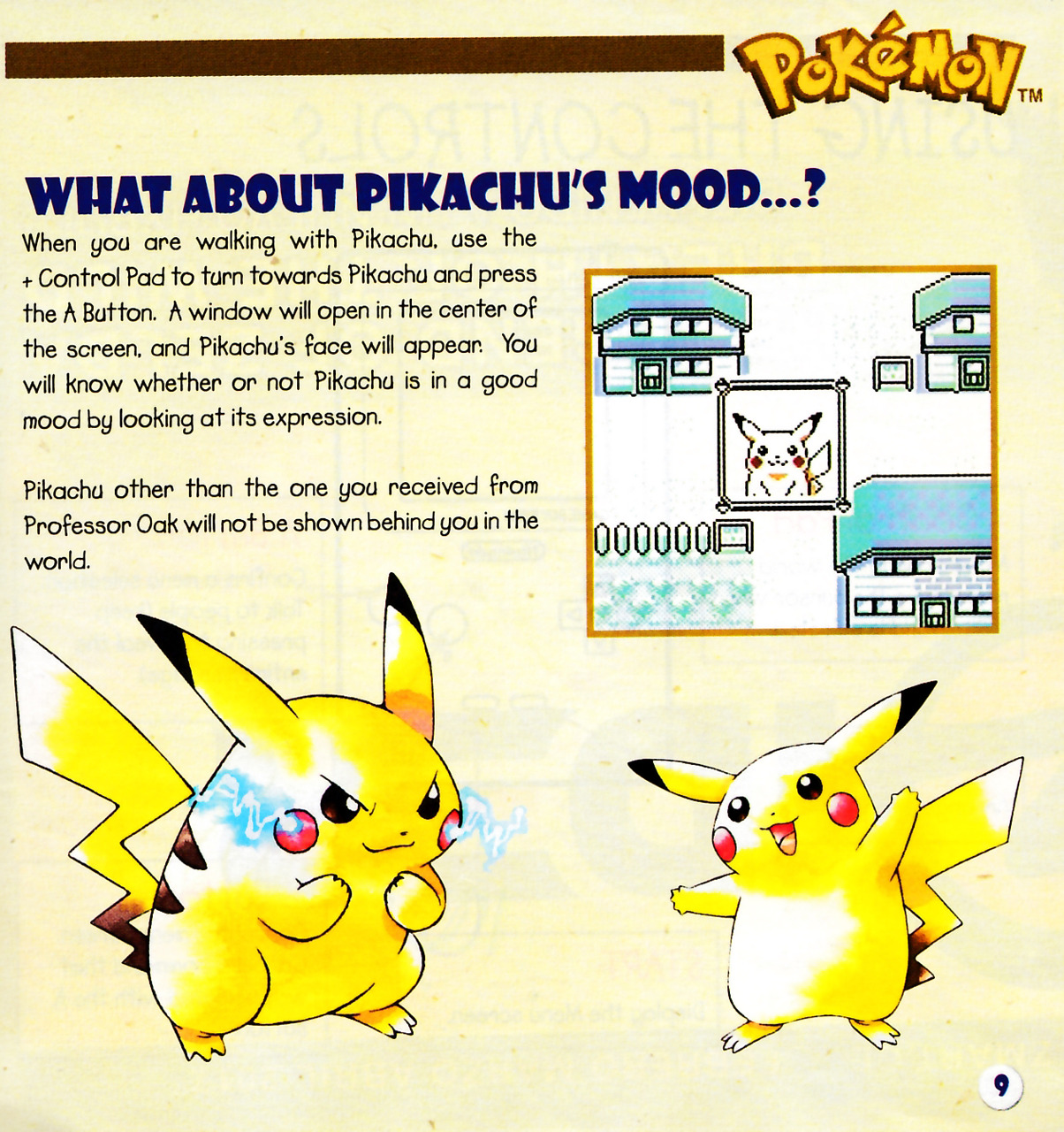 To Be Continued Pokémon Yellow Game Manual