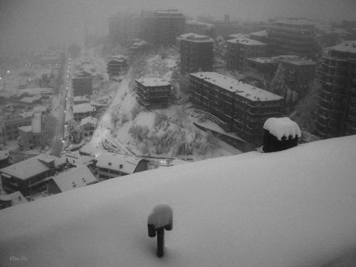 photography photos b&w blizzard snow landscapes Italia abruzzo italian town snowstorm natural landscapes fauna&flora roofs black and white dark and light shades of grey twilight photographers on tumblr original photographers artists on tumblr grey aesthetic winter bird melancholy clair-obscur chiaroscuro Clm Cir Clémentine Circaetis