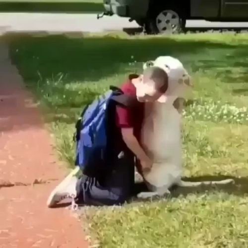 awwsfordays