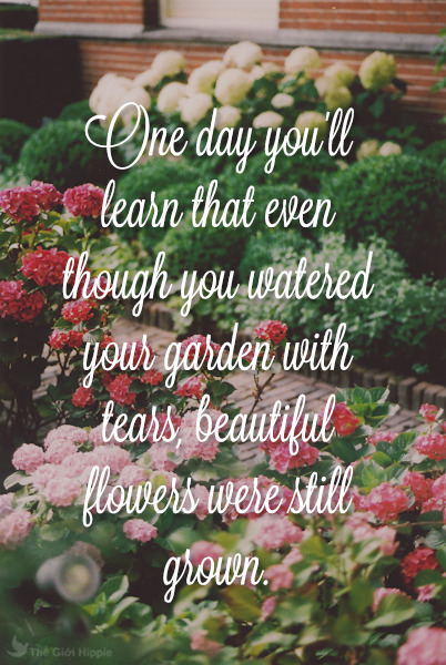 flower quotes on Tumblr