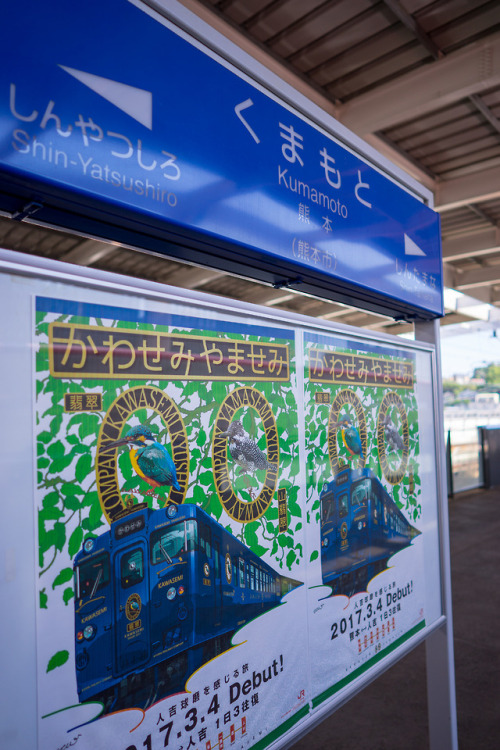 20170802_熊本、熊本城、熊本熊社長辦公室、水前寺成趣園、出水神社 相片擁有者 冠宇 陳 透過...