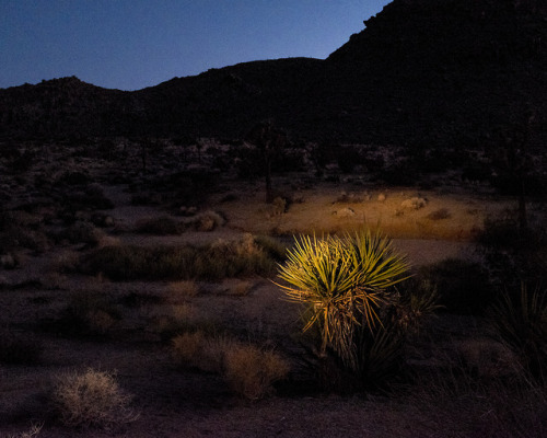 americanroads:California NightsMy work can be viewed online...