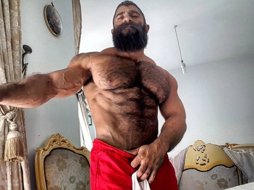 muscleryb:Doumit Ghanem