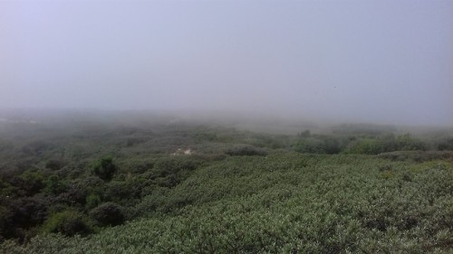 dehanginggarden:Foggy dayIJmuiden, the Netherlands -...