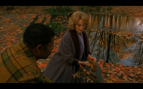 Far From Heaven, Todd Haynes (2002)