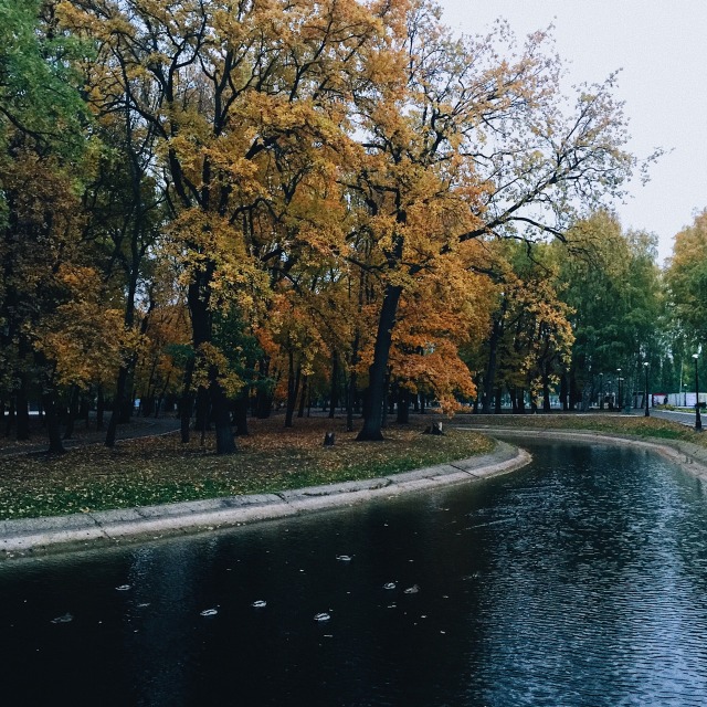 Вечерний пруд фото