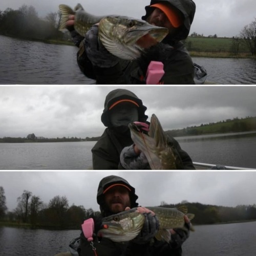 Wind, rain and cold… Not the conditions for topwater...