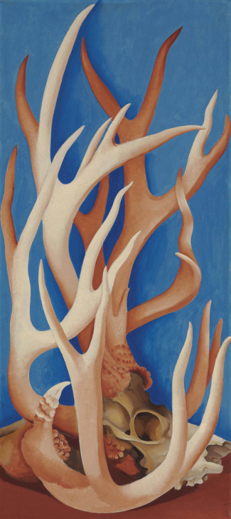 mauveflwrs:Georgia O'Keeffe - Deer Horns (1938)