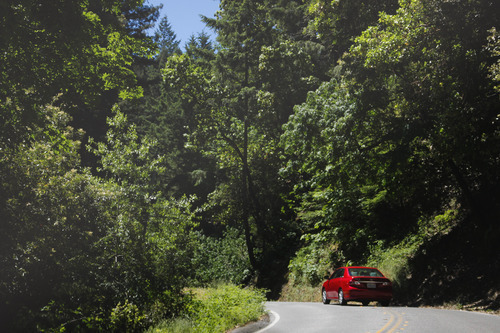 Screenshots Of Life Recap Santa Cruz Part 1 Ymca Camp Campbell