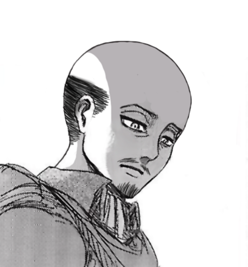 Attack On Titan Bald Characters The story is set in a world where ...