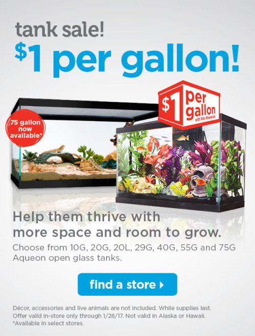 dollar per gallon sale | Tumblr