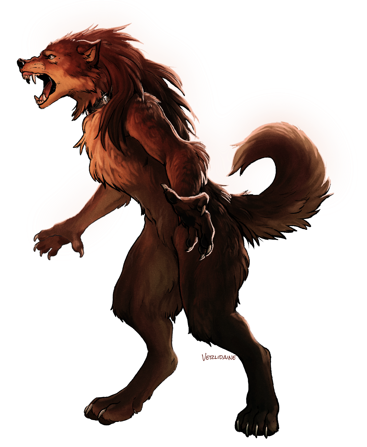 Fluffy Werewolf By Xanderwulf Rimaginarywerewolves 