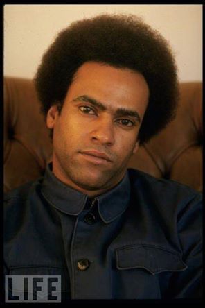 huey newton panther party history power panthers american leaders percy movement light african color 1942 february afro facts magazine dr