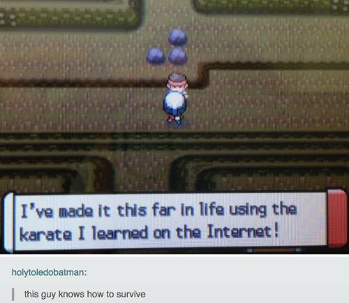 i-have-no-gender-only-rage:tumblr and pokemon