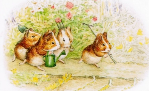 bedtime-bun:by Beatrix Potter