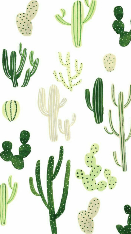 cacti wallpaper  Tumblr 