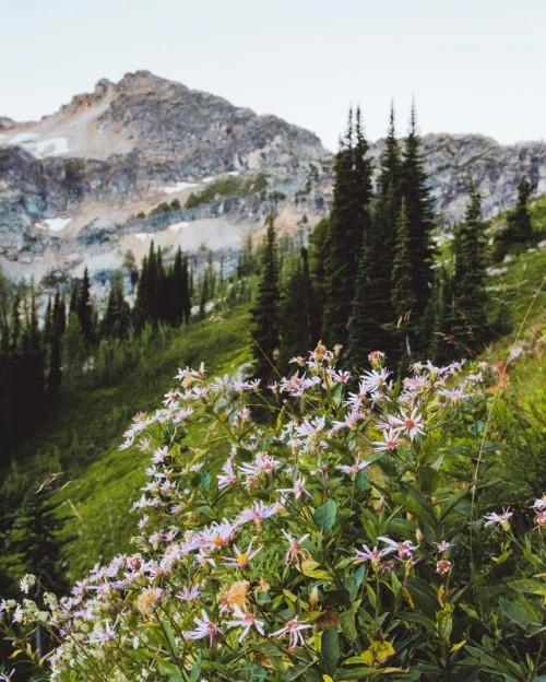 grace–upon–grace:Mason Strehl