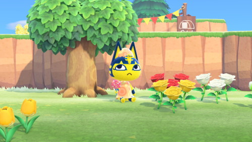 ankha | Tumblr