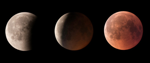 astronomyblog:Lunar eclipse 2019 Image credit: Dan Wery