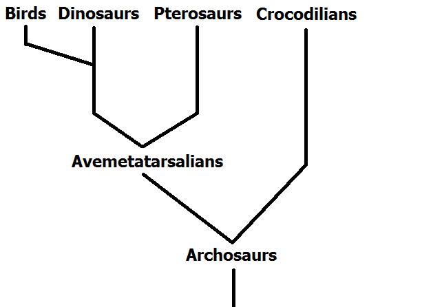 pterodactyl evolution