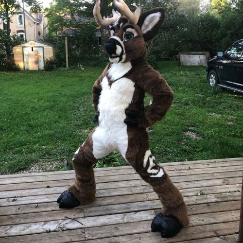 Ashton Deer! #furry #mfy #madefuryou...