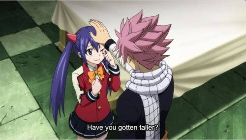 hellodelicatebouquettidalwave:Never change, Natsu! 