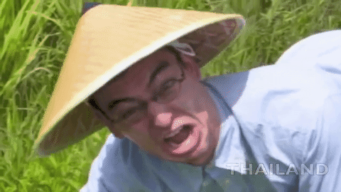 Image result for filthy frank welcome to the rice fields gif