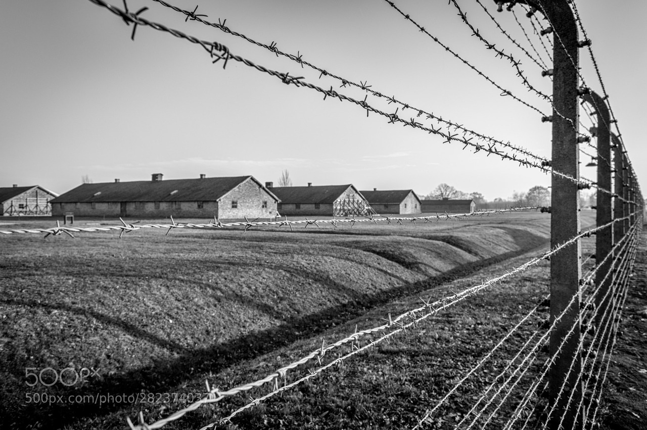 Birkenau Tumblr Posts Tumbral Com