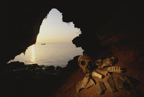 ancientdelirium:(via View Of The Skull Of A Female by Kenneth...