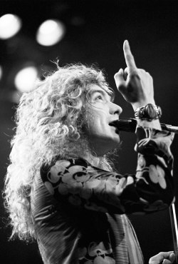 november-rain-roses:Led Zeppelin