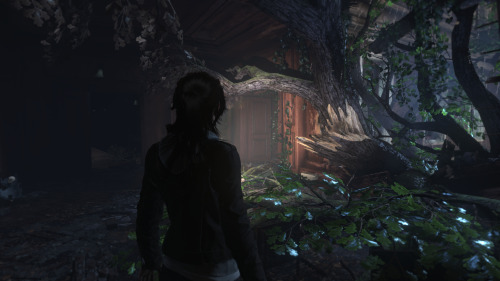 rise of the tomb raider blood ties download