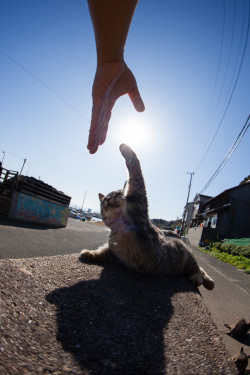 @オシャシン