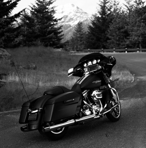 harley davidson moto motorcycle motorbike bike biker rider forest woods black and white b&w bnw follow like reblog aesthetic 2018 october 31th
